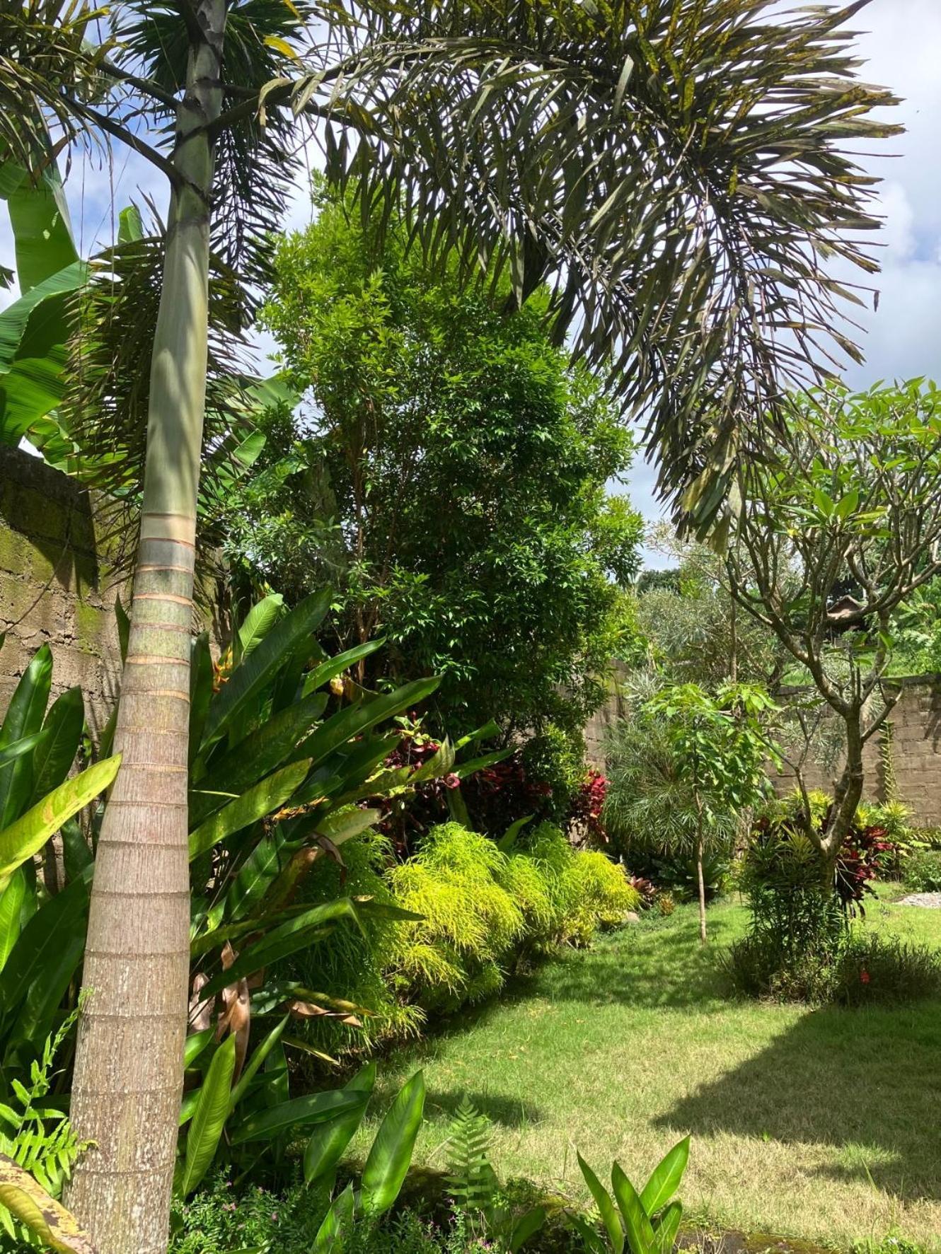 Villa Kelana Sidemen  Dış mekan fotoğraf